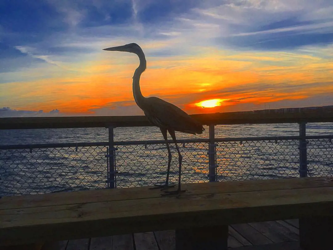 Evening Walk At The Island Pier is a relaxing way to spend the time with family