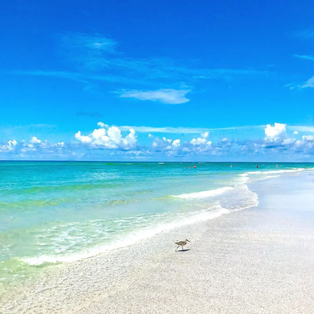 Florida has the number of beautiful tourist attracting Beaches