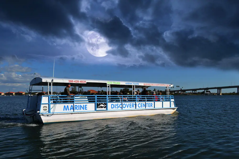 Enjoy your view of the beautiful full moon on Marine Discovery