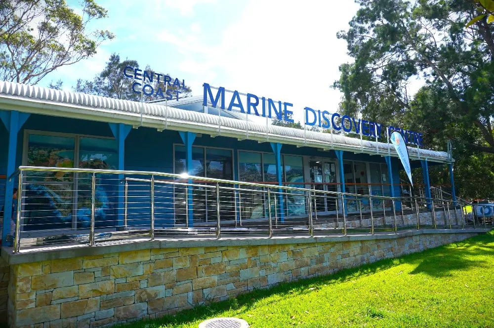 Explore the marine animal at Marine Discovery Center