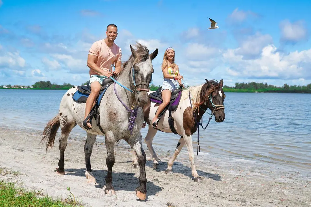 Sit on the back of the Horse and feel the beauty of Florida beaches with your loved ones