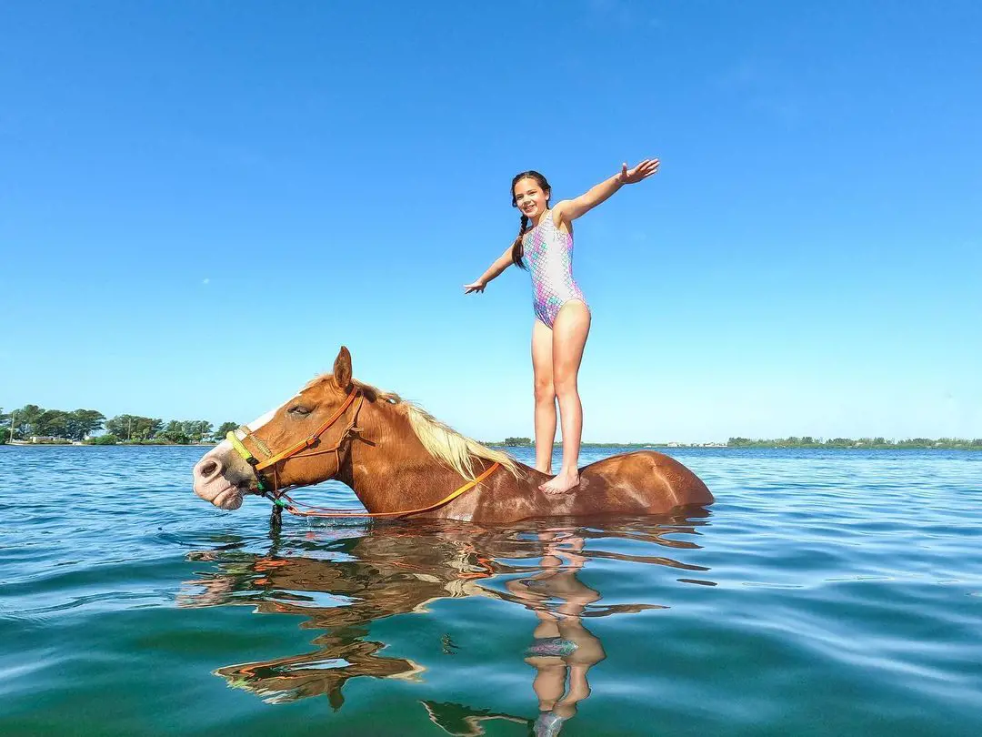 A baby enjoying standing on the horse on the beach