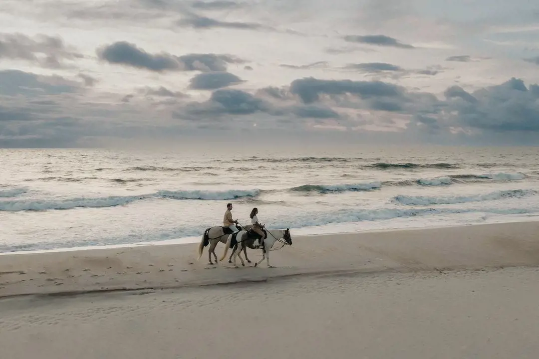 Experience the afternoon at the seashore of Amelia Island with horseback riding excursion