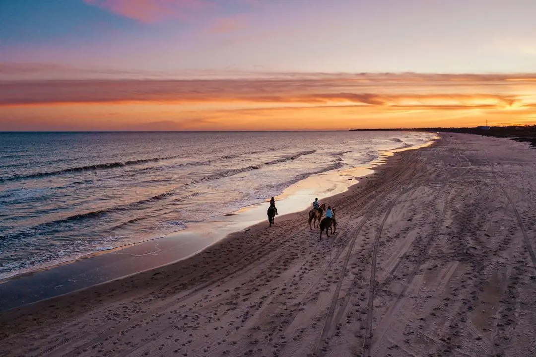 Cape San Blas horse riding also provides the best sunset experience from the top of horse