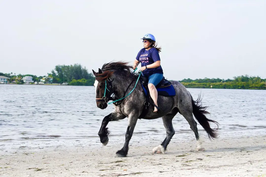 Create the beautiful memory and get pictured of the beautiful event in Flagler beach