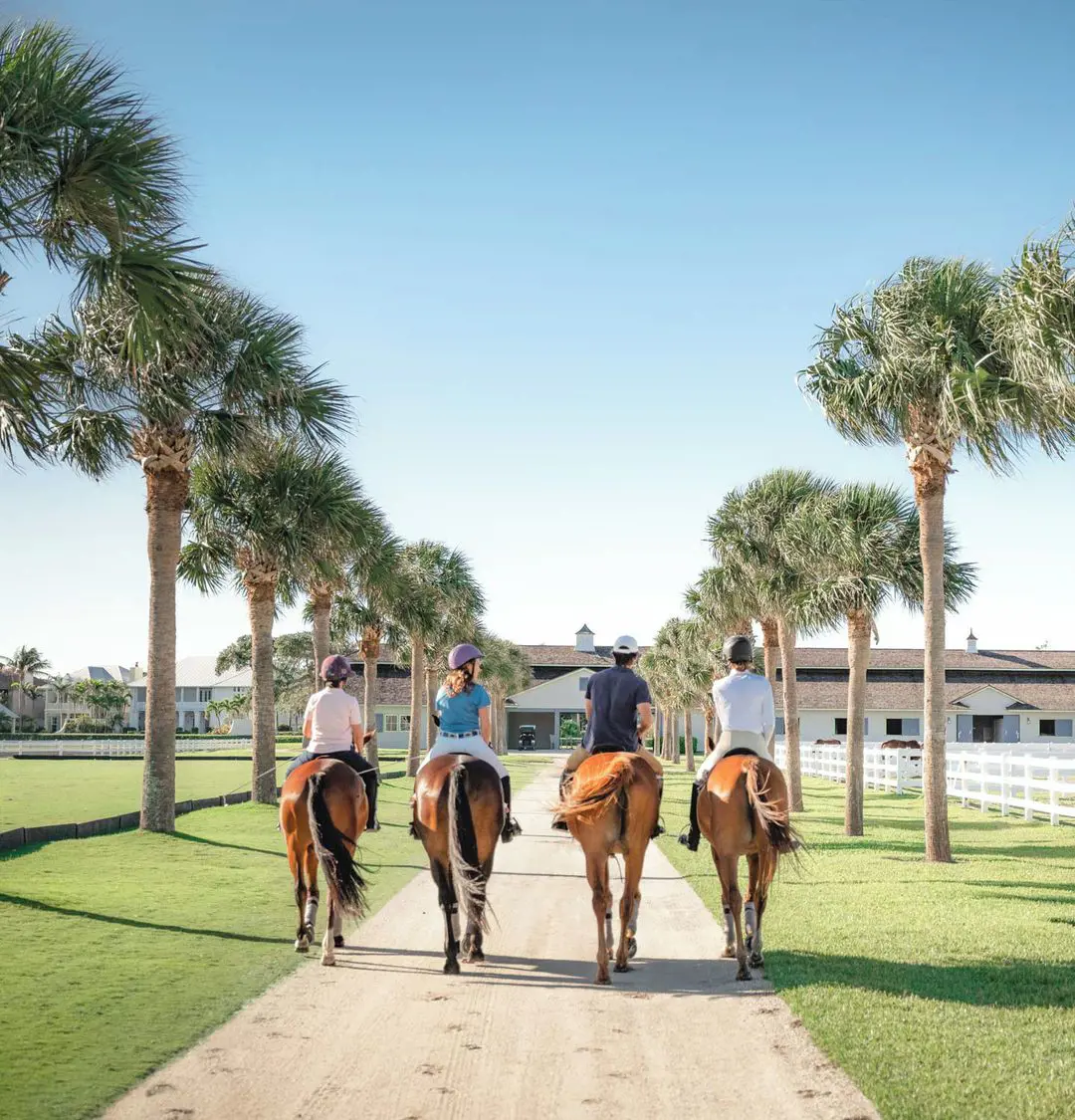 Ride a horse with a group of friends on the beach shore