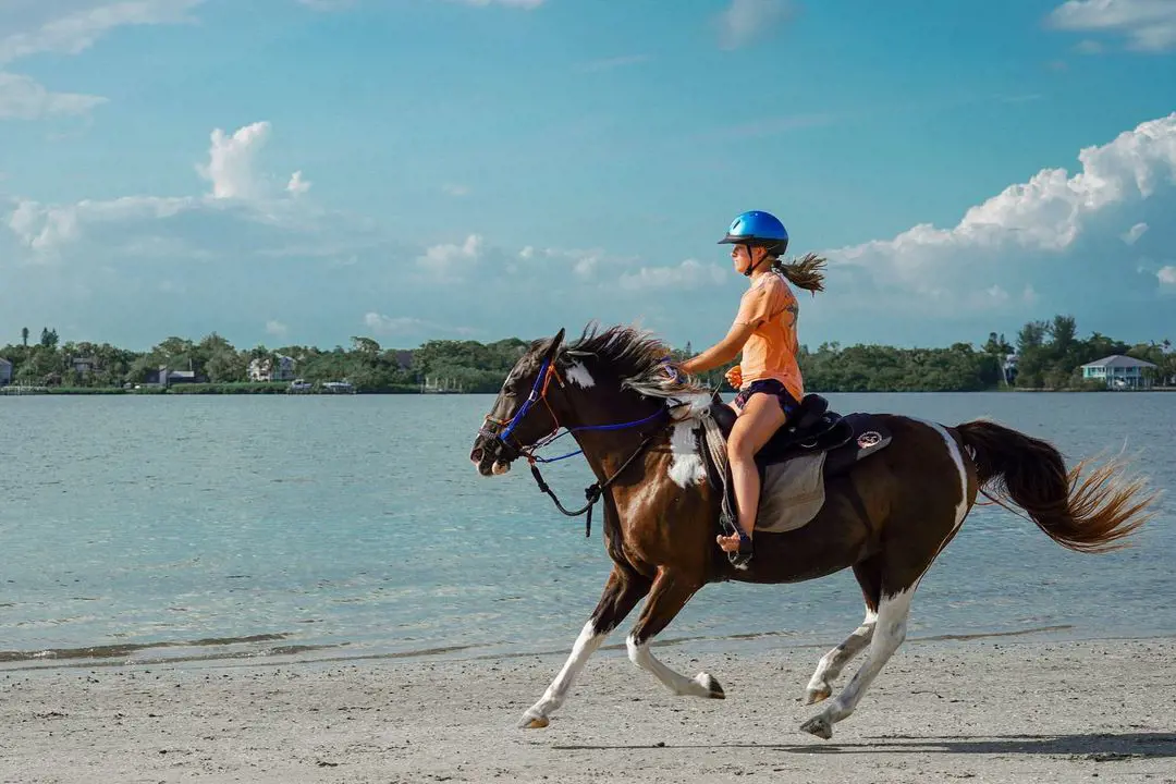 A girl riding the horse on St. Augustine Beach with a full confidence